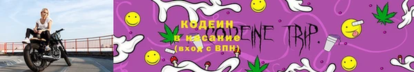 СК Горняк