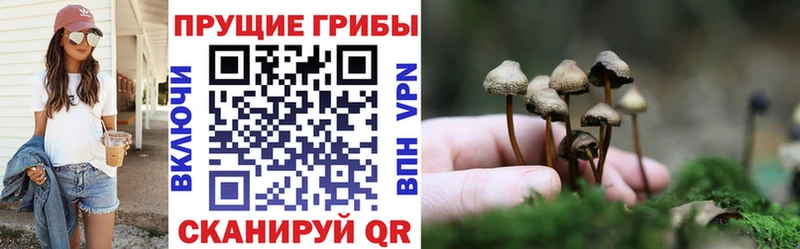 Галлюциногенные грибы MAGIC MUSHROOMS  Киреевск 