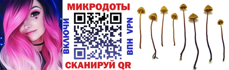 Псилоцибиновые грибы мицелий Киреевск