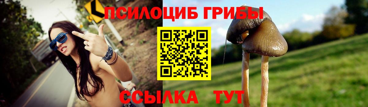 Галлюциногенные грибы Magic Shrooms  Вход с VPN  Галлюциногенные грибы ЛСД  где купить наркоту  Киреевск 